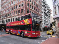 Bus & Tram Tours Bus & Tram Tours