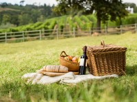 Wine & Food Wine & Food